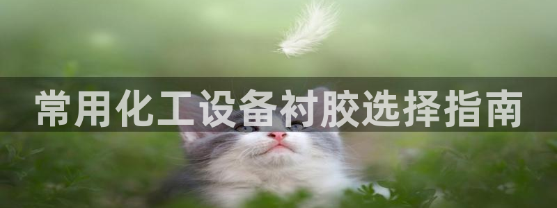 美狮贵宾会贴吧