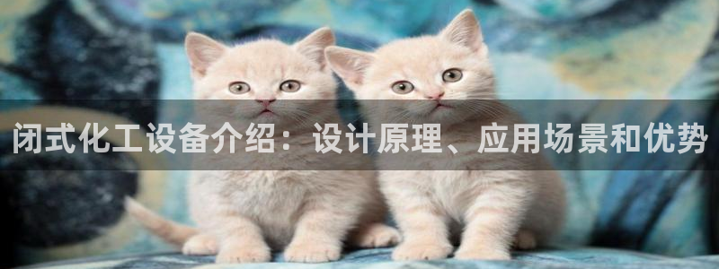 美狮贵宾快速充值中心客服电话