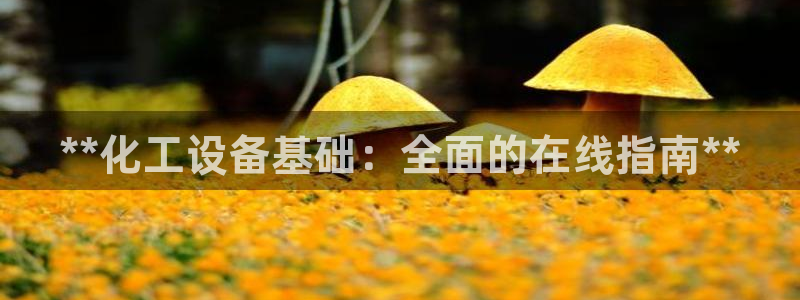 美狮会平台是干什么的