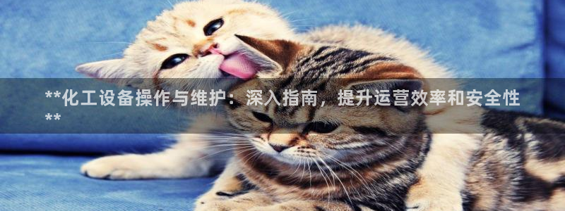 美狮贵宾会论坛