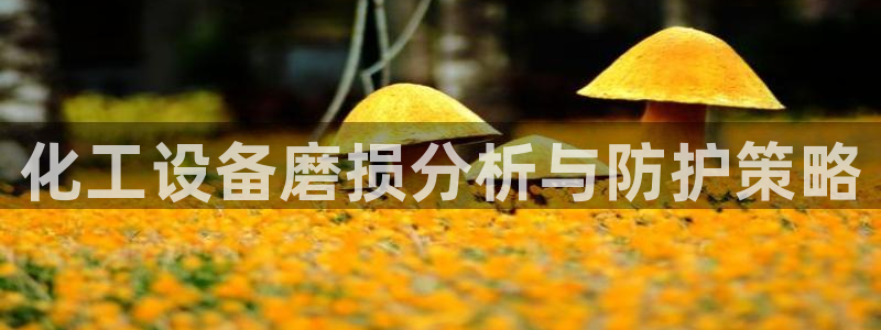 美狮贵宾会快充值中心