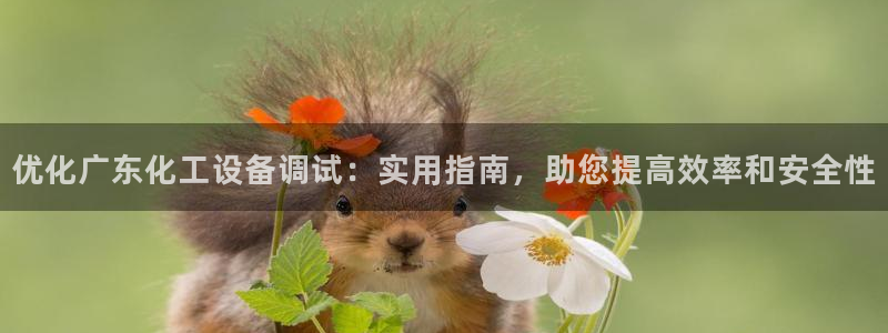 美狮贵宾有人赢过吗