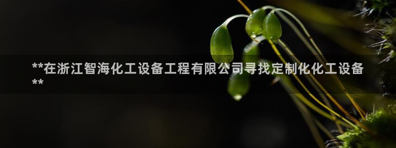 美狮贵宾会网页登陆