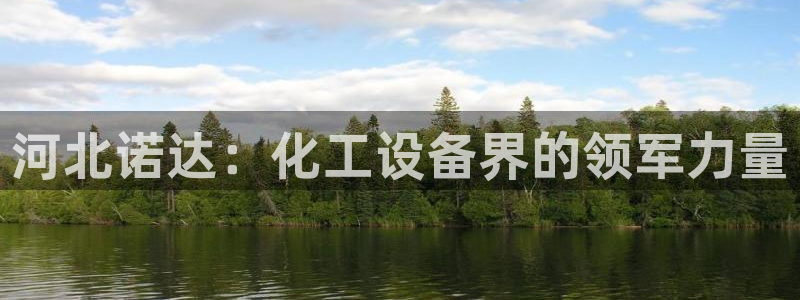 美国美狮集团