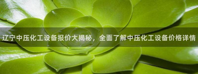 美狮贵宾会官方网下载