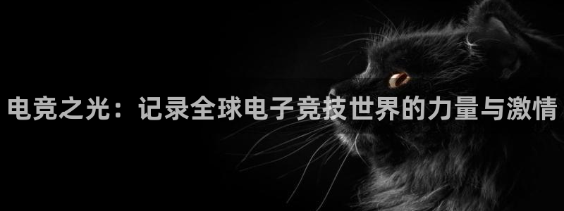 完美电竞绑定steam：电竞之光：记录全球电子竞技世界的力量与激情