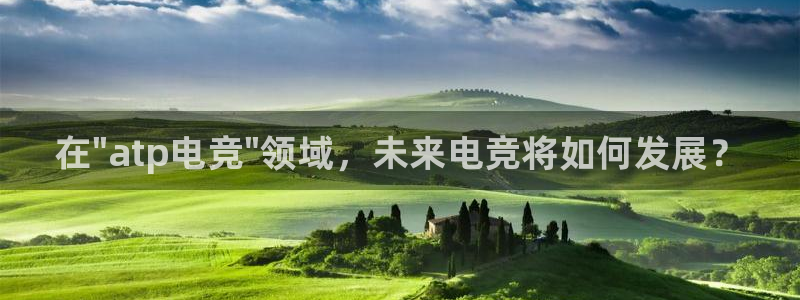 cs完美电竞平台