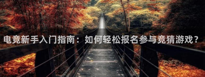 完美电竞官网盛大升级