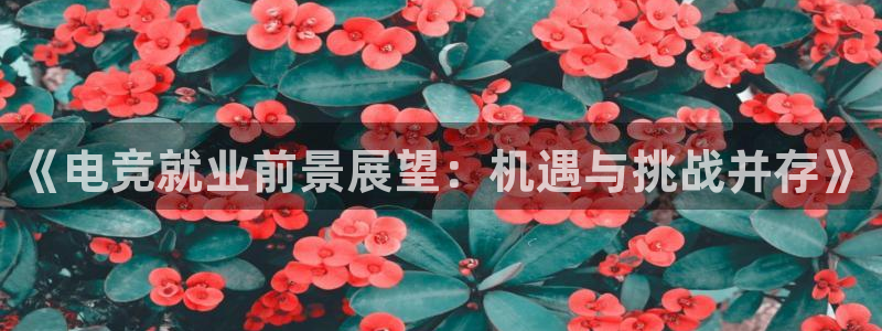 完美电竞下载