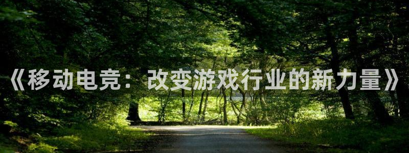 完美电竞下载
