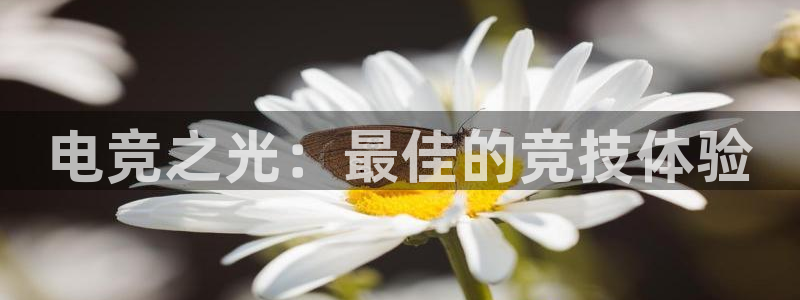 完美电竞大会员