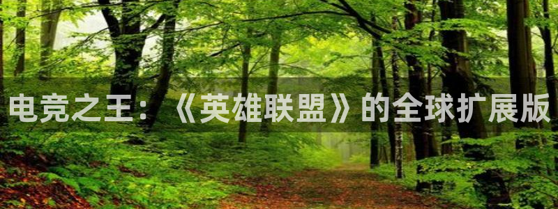 完美电竞查询