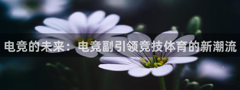 完美电竞平台官网