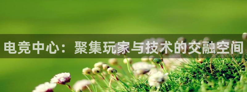 完美电竞世界官网