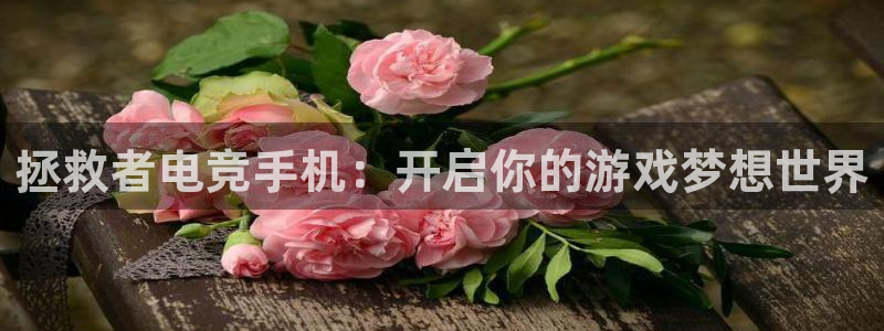cs完美电竞平台