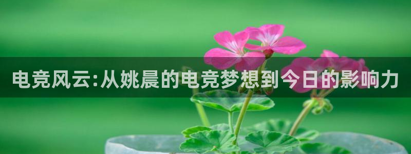 完美电竞官网盛大升级