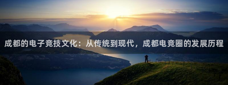 完美电竞官网