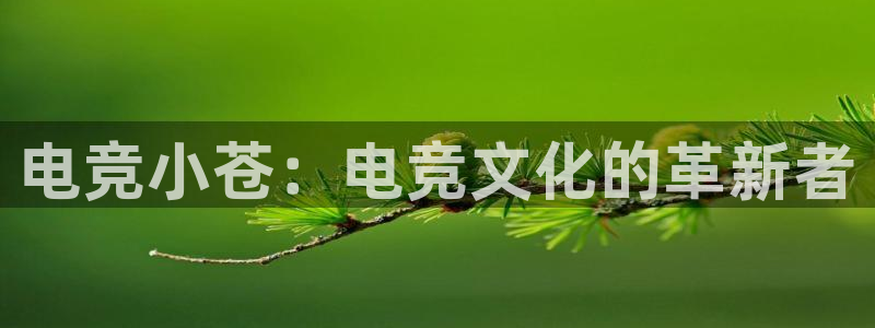 完美电竞官网盛大升级