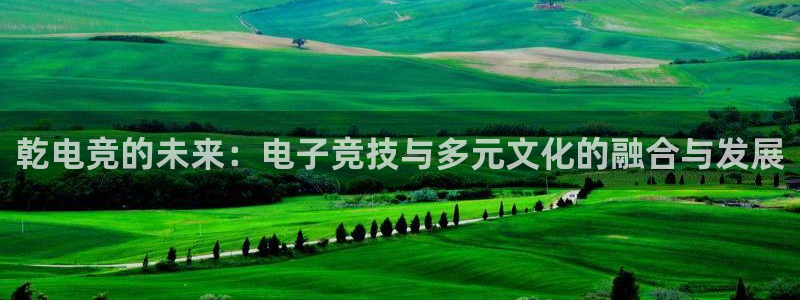 完美电竞平台官网网址