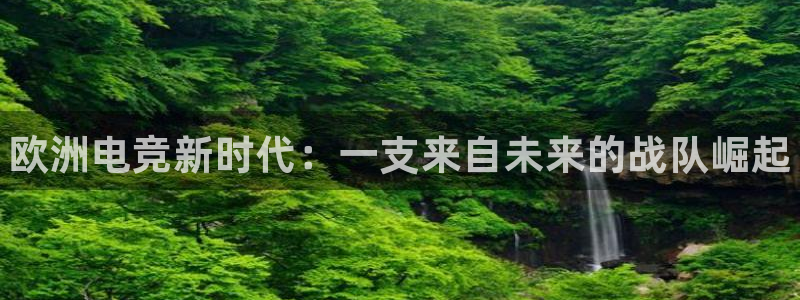 完美电竞官网盛大升级