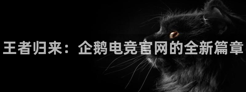 完美电竞下载